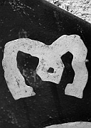 Wall_Art_Alphabet_Photography_Art_ 1423